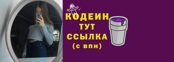 ПСИЛОЦИБИНОВЫЕ ГРИБЫ Гусь-Хрустальный